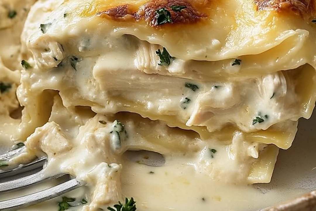 Cheesy Chicken Alfredo Lasagna |